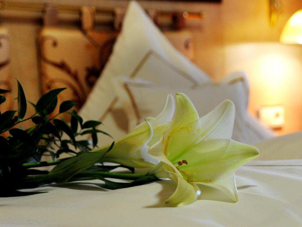 Wellness- Und Ferienhotel Waldesruh 博登迈斯 客房 照片